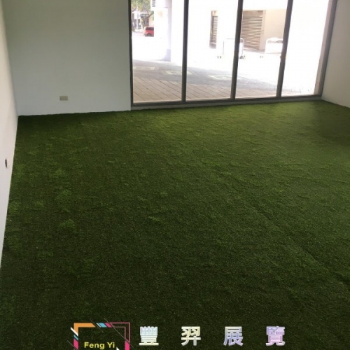 2019.10.04林口仁愛路-室內細絲草滿鋪